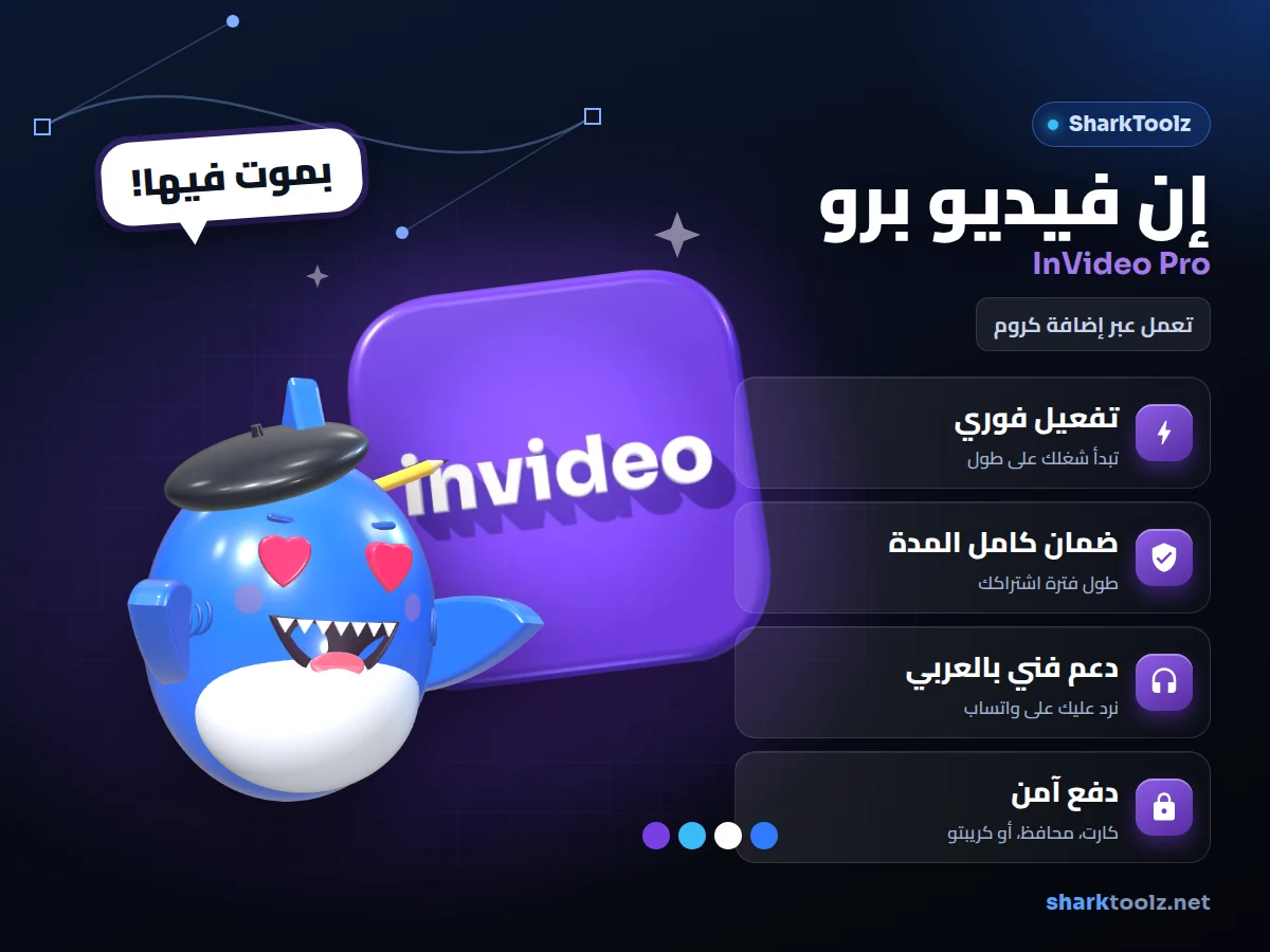 اشتراك إن فيديو برو - صورة 1